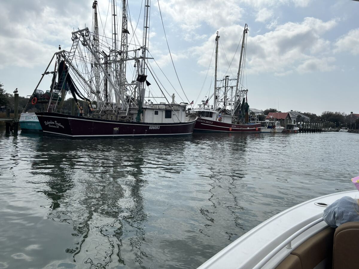 Shrimp boats in Charleston from the charter boat